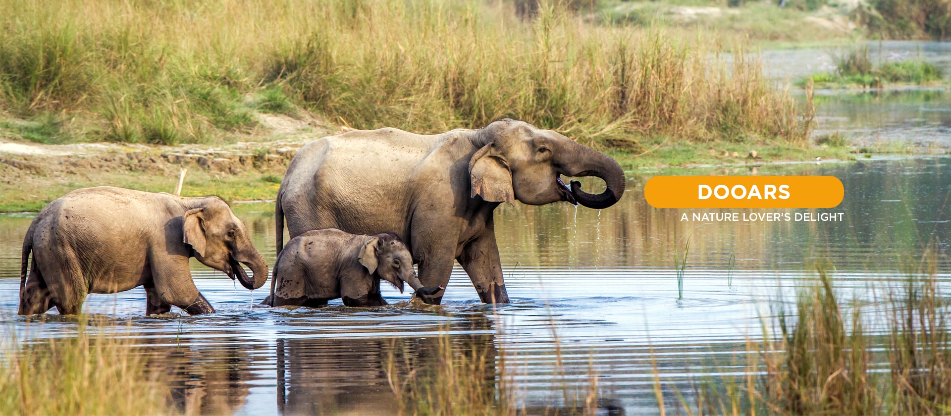 4 Bhutan Rental & Travel